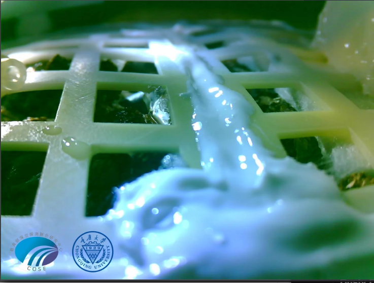 The Life and Death of China's Lunar Crop